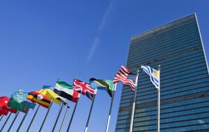 Чтобы вернуть право голоса, странам нужно уплатить минимальный взнос, который для всех разный