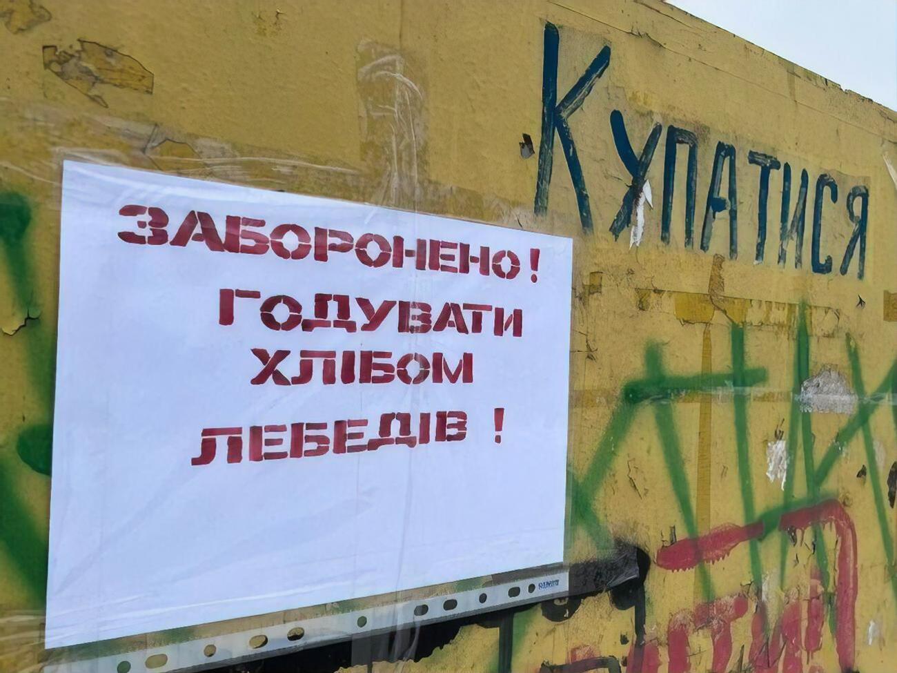 По мнению спасателей, птицы погибли из-за хлеба, который им приносят местные жители