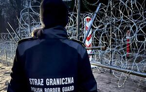 В 2021 году в странах Евросоюза, граничащих с Беларусью, обострилась проблема нелегальной миграции из стран Ближнего Востока