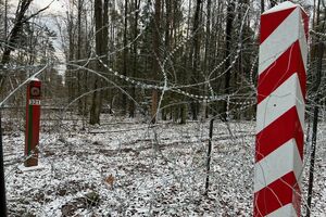 Прикордонна служба повідомила, що кордон Польщі 15 січня форсувала група з 18 осіб