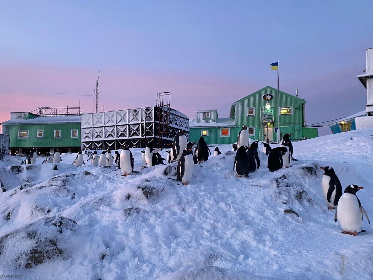 Станция "Академик Вернадский" находится на острове Галиндез