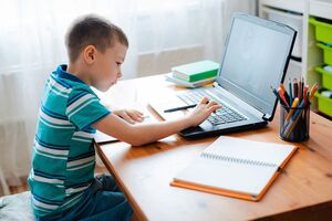 Долго ли продлится "дистанционка" в школах, неизвестно