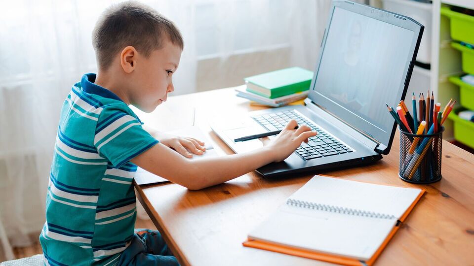 Долго ли продлится "дистанционка" в школах, неизвестно