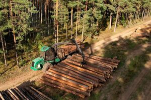 Верховная Рада приняла за основу законопроект №4197-д о рынке древесины в Украине