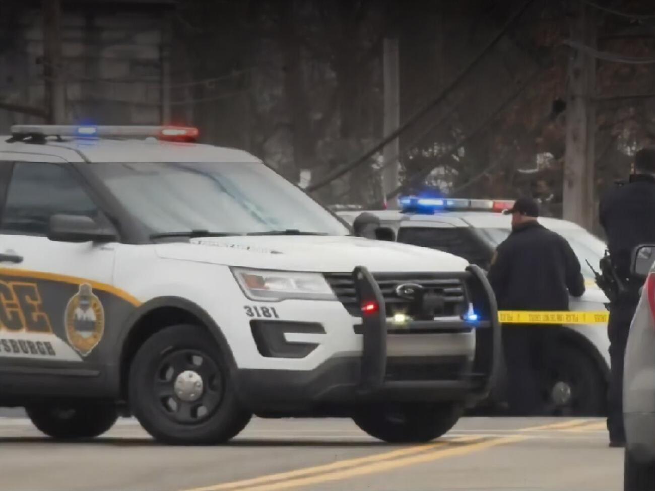 Полиция ищет двух подозреваемых