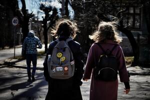 Онлайн-занятия в учебных заведениях региона будут длиться две недели, отметили в Черновицкой ОГА