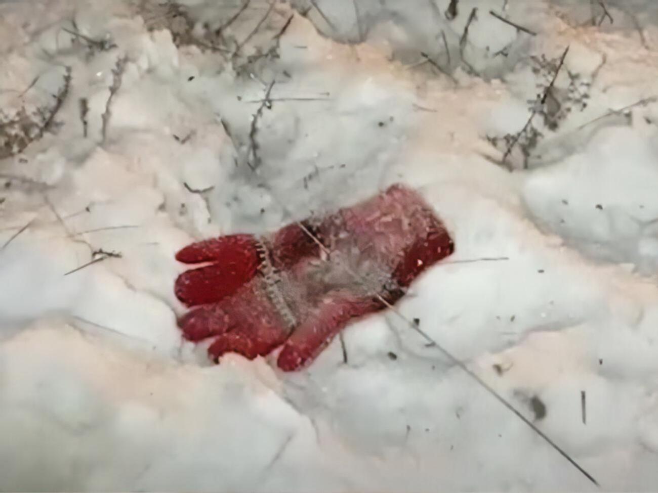 Тело девочки нашли на пустыре