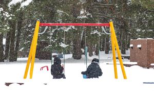 Законопроект разработан для установления единого минимального размера алиментов для детей, отметил нардеп Ватрас