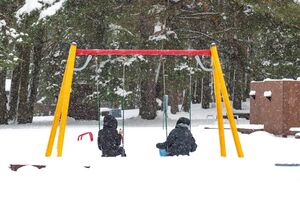 Законопроект разработан для установления единого минимального размера алиментов для детей, отметил нардеп Ватрас