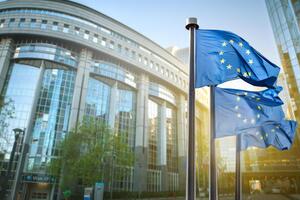 Делегація Європарламенту відвідає Україну 30 січня – 2 лютого