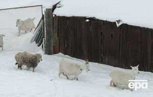 У західних областях прогнозують сніг