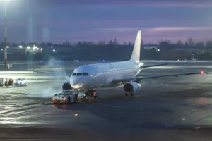 "Ці люди стали жертвами обману недемократичного уряду Білорусі", – заявили у МЗС Литви