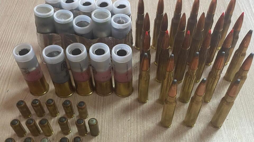 Патроны нашла собака пограничников