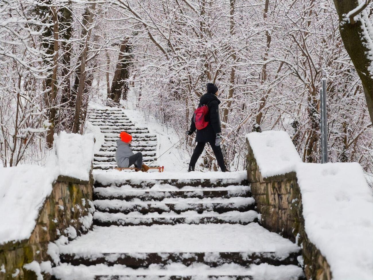У парку встановлено попереджувальні таблички про те, що з'їжджати схилами не можна