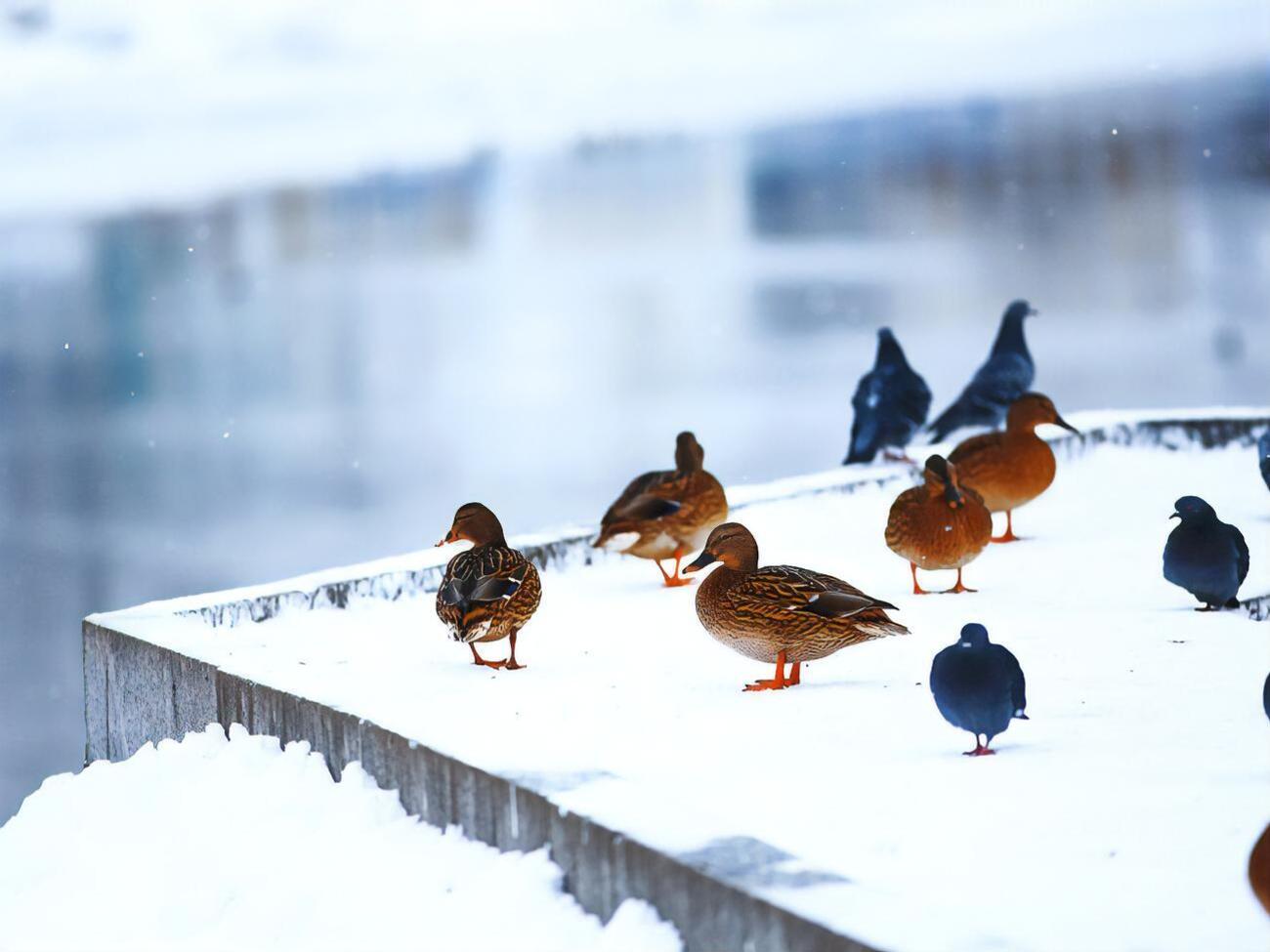 Рятувальники повідомили про зміну гідрогеологічної ситуації на водоймах країни