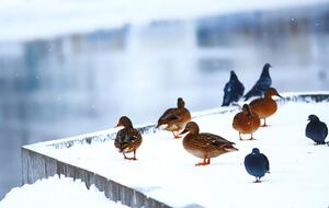 Спасатели сообщили об изменении гидрогеологической ситуации на водоемах страны