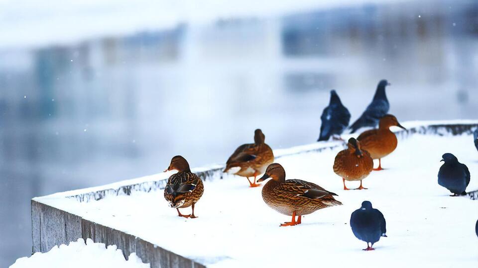 Спасатели сообщили об изменении гидрогеологической ситуации на водоемах страны