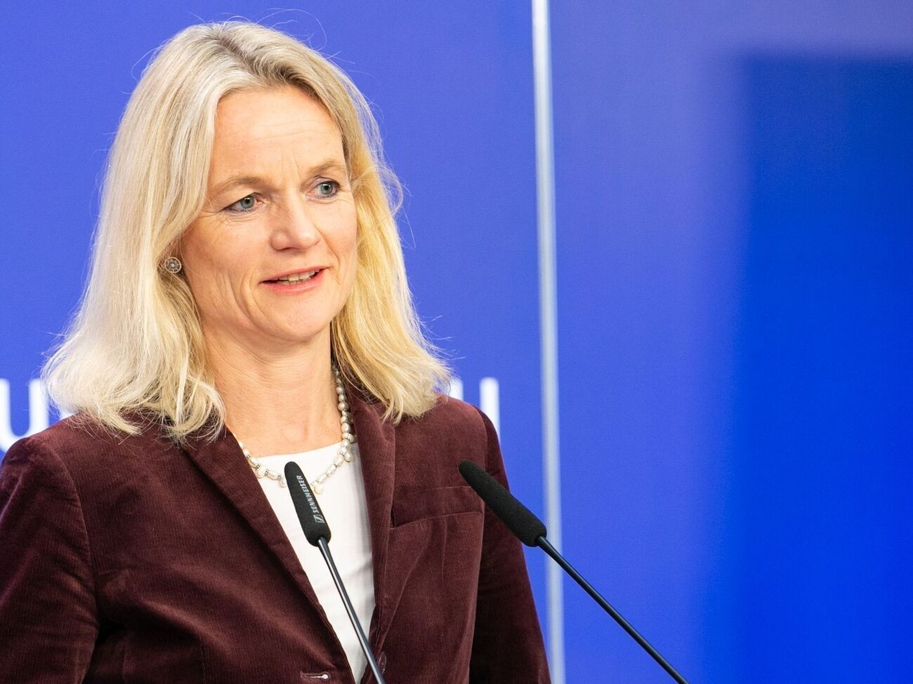 Фон Крамон-Таубадель наголосила, що загроза "не в розмовах, а в скупченні російських військ біля кордону України"