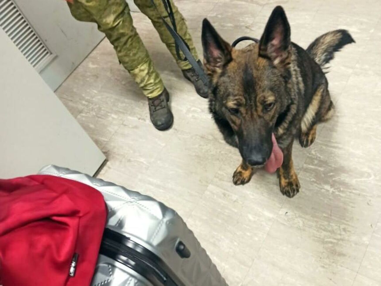 В багаже нашли таблетки Decancit SR, содержащие псевдоэфедрин