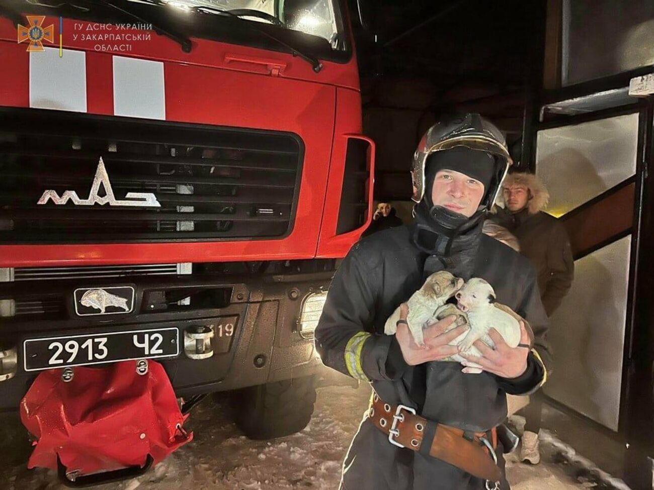 Щенята спрятались под кровать в горящем доме