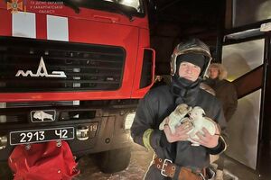 Цуценята сховалися під ліжко в будинку, що палав
