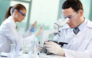 В исследовании приняли участие 36 человек