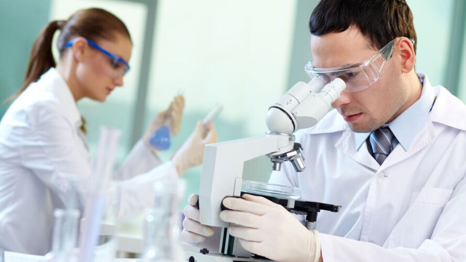 В исследовании приняли участие 36 человек