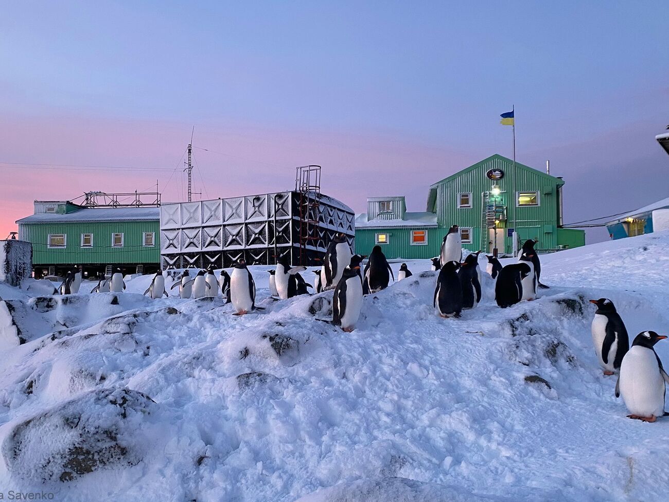 Из 14 будущих зимовщиков шестеро уже работали на станции "Академик Вернадский"