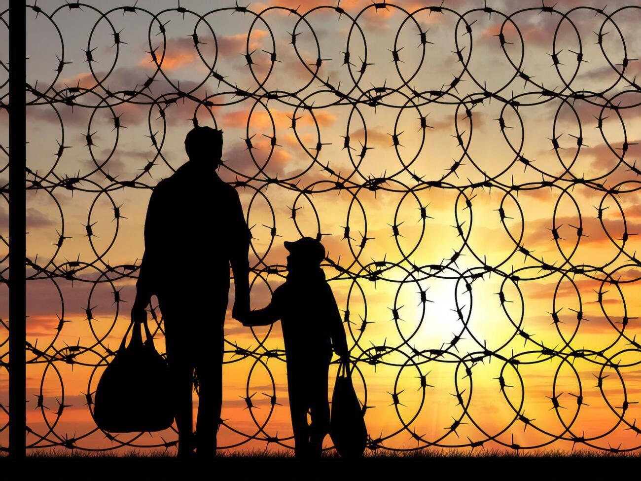 Статус беженцев получили граждане&nbsp;Афганистана, Беларуси, России и Сирии