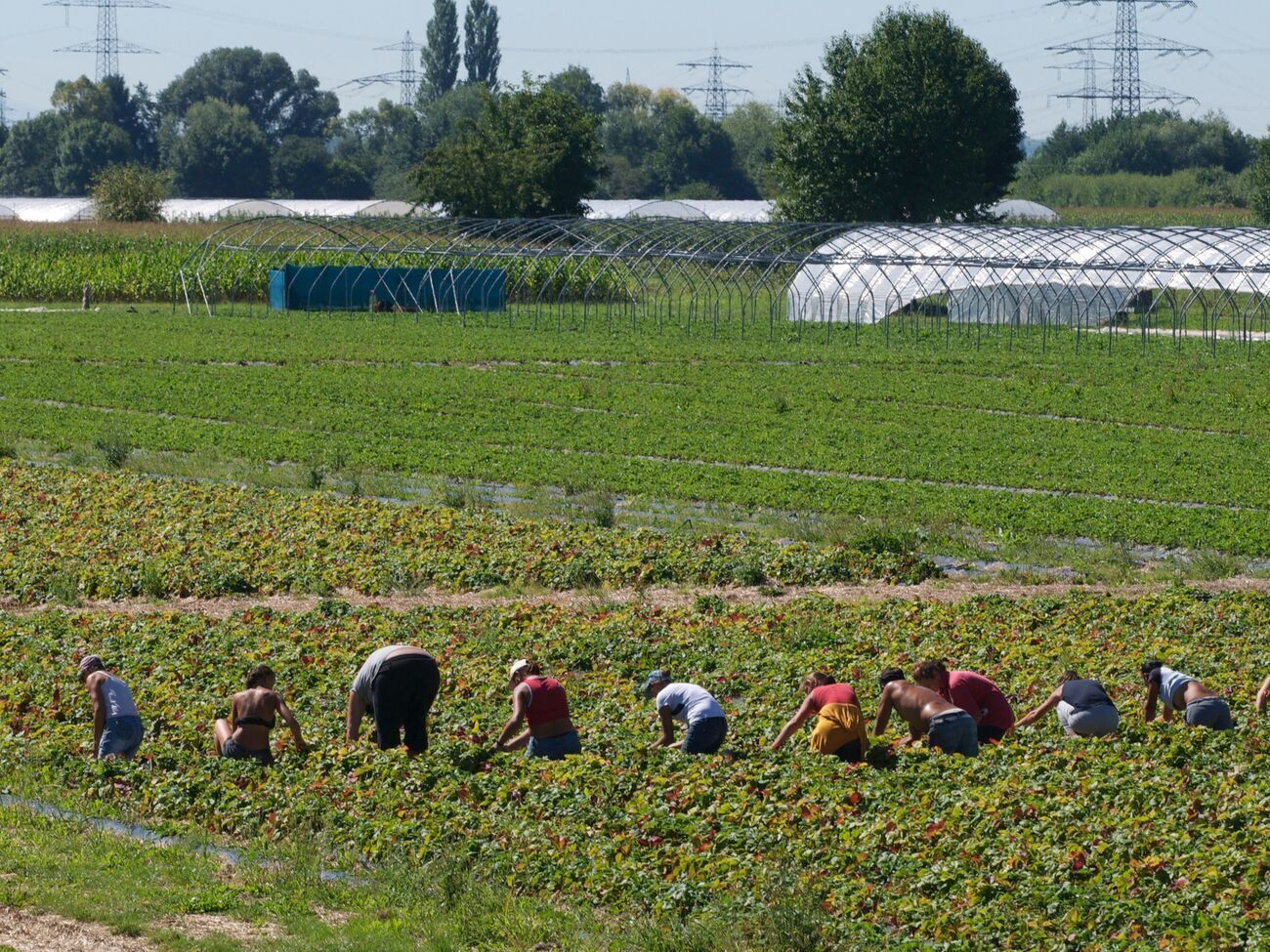 Нові норми закону спрощують процедуру надання дозволу на тимчасове чи постійне проживання