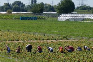 Новые нормы закона упрощают процедуру получения разрешения на временное или постоянное проживание
