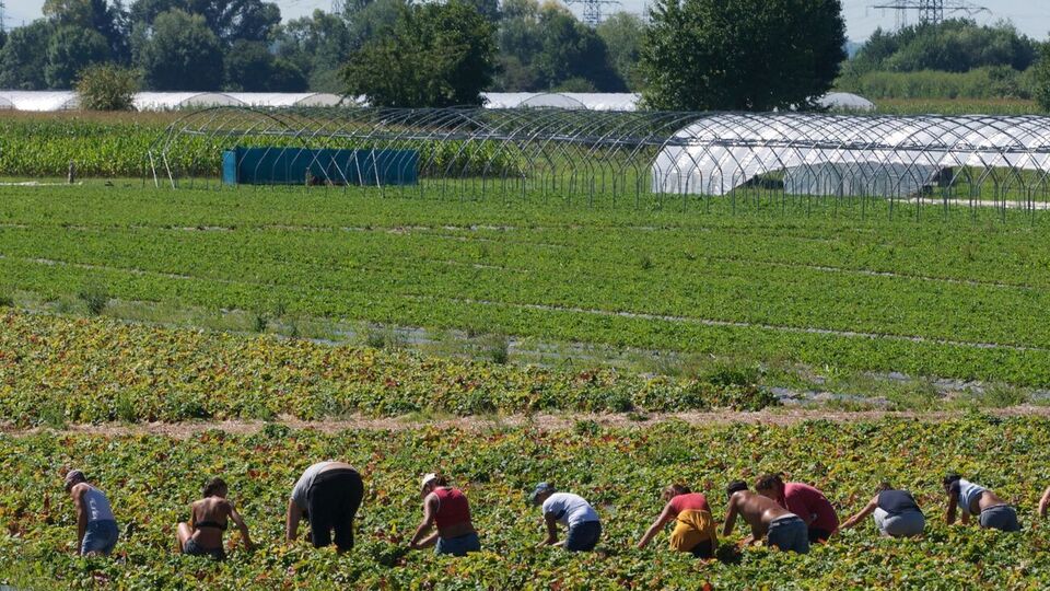 Нові норми закону спрощують процедуру надання дозволу на тимчасове чи постійне проживання
