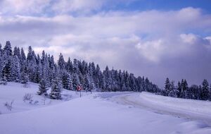7 января территория Украины окажется под действием антициклона "Алекс", который придет из Западной Европы