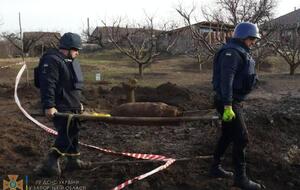 Хозяева частного дома выкорчевывали старые деревья в саду, когда нашли снаряд