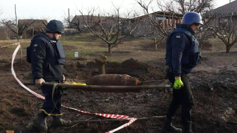 Хозяева частного дома выкорчевывали старые деревья в саду, когда нашли снаряд