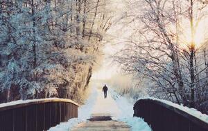 Уночі та вранці у західних областях України прогнозують туман