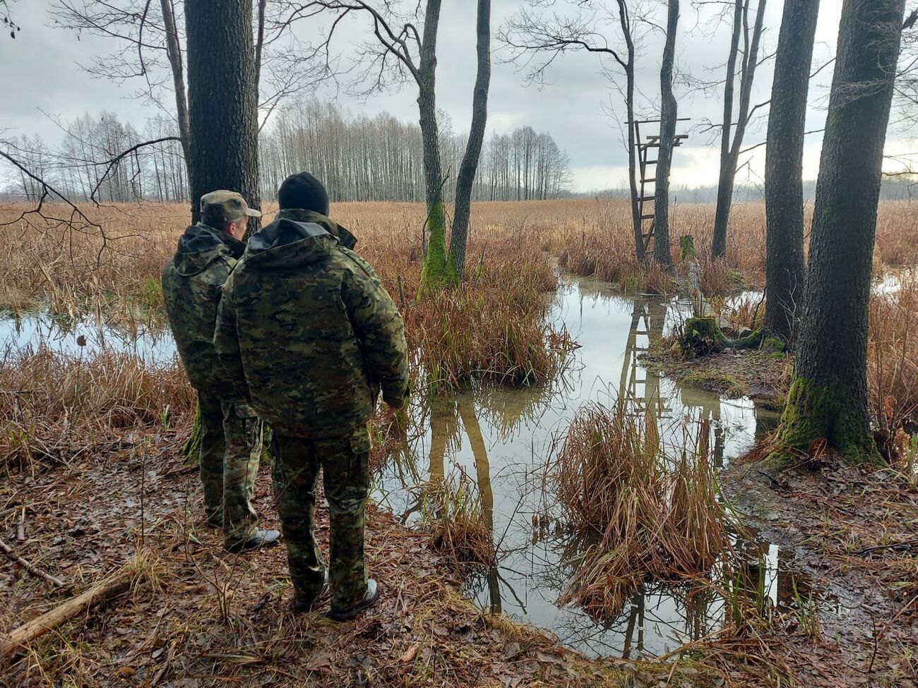 К утру 9 января польские пограничники задержали 33 мигранта, которые пытались штурмовать границу