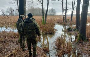 К утру 9 января польские пограничники задержали 33 мигранта, которые пытались штурмовать границу