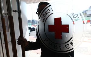 Красный Крест не демонстрирует эффективности, считает Зеленский