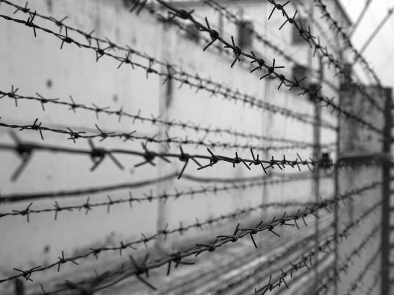 МКЧХ закликав сторони війни скоординувати зусилля, а міжнародні організації "виконати відведену їм роль"