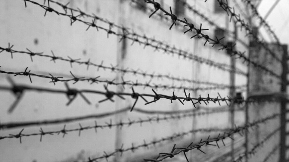 МКЧХ закликав сторони війни скоординувати зусилля, а міжнародні організації "виконати відведену їм роль"