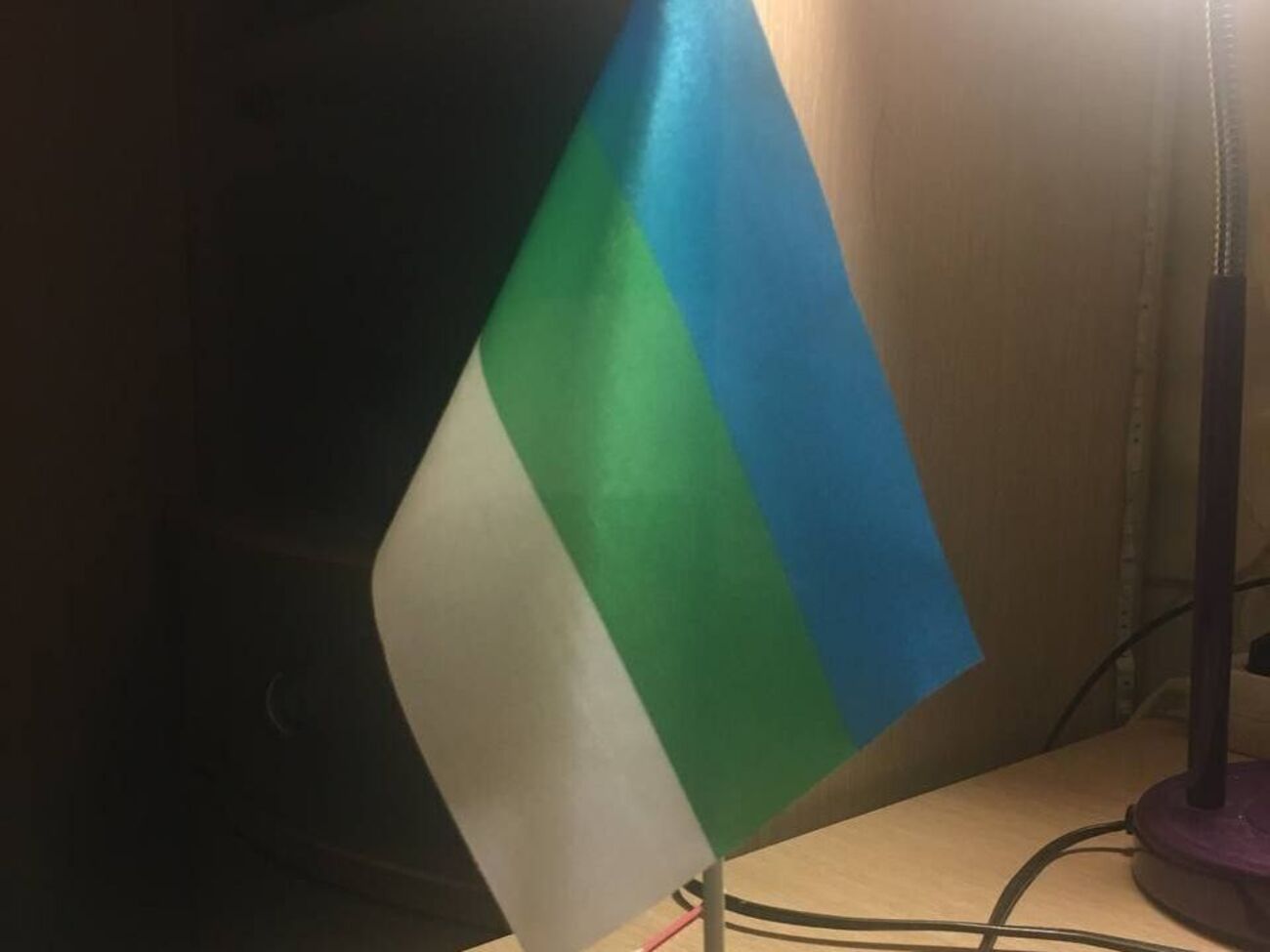 В Башкортостане ряд националистически настроенных граждан выступают против мобилизации и войны в Украине