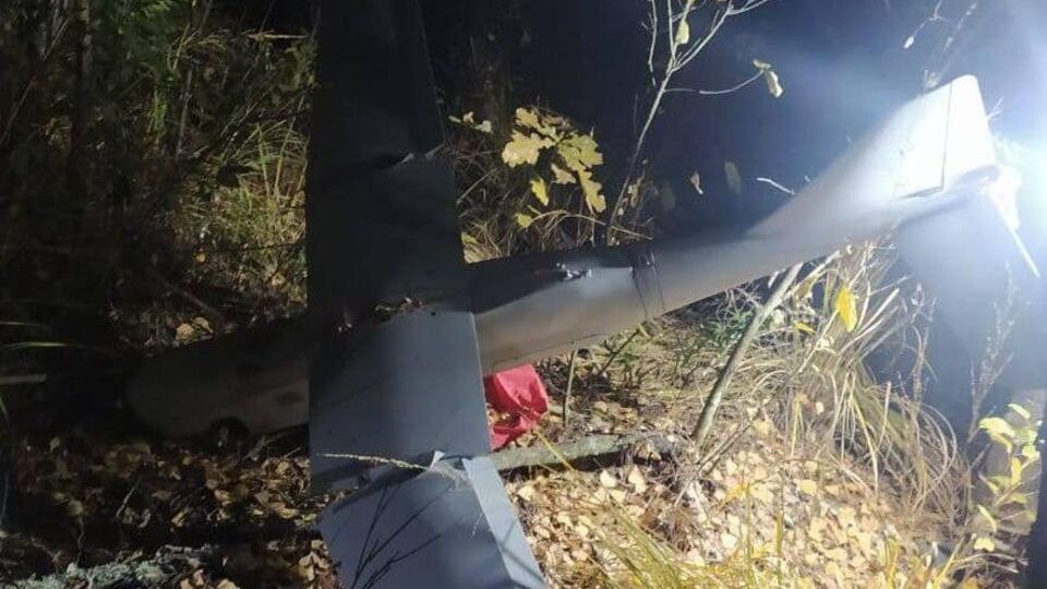 Про знаходження БПЛА окупантів у лісі повідомив правоохоронців житель села Любимівка, зазначили у поліції