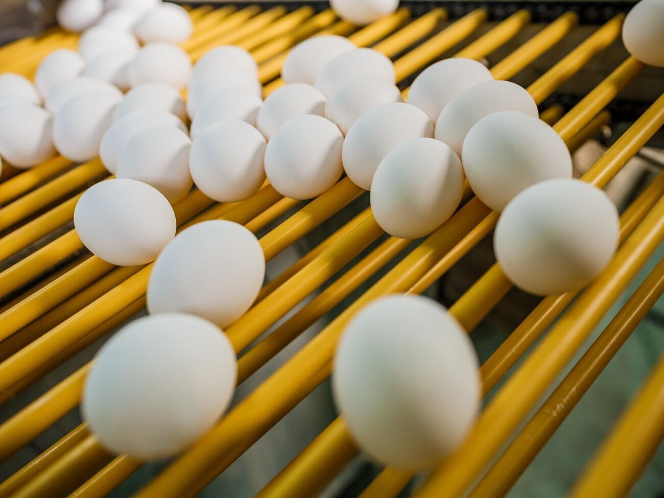 В АМКУ вважають, що за останні три місяці вартість яєць зросла на 54%