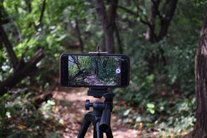 У Білорусі посилюють режимні заходи, знімати забороняють
