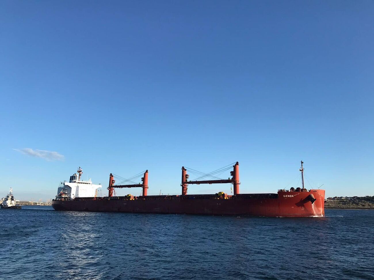 За время действия "зернового соглашения" Украина экспортировала 8 млн тонн агропродукции через морские порты