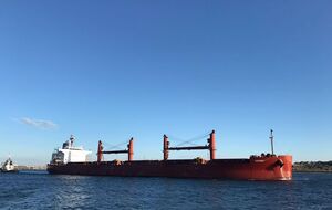 За время действия "зернового соглашения" Украина экспортировала 8 млн тонн агропродукции через морские порты