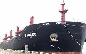 23 октября балкер Pangeo, зафрахтованный Всемирной продовольственной программой ООН, вышел из порта Черноморск, отметили в Мининфраструктуры Украины