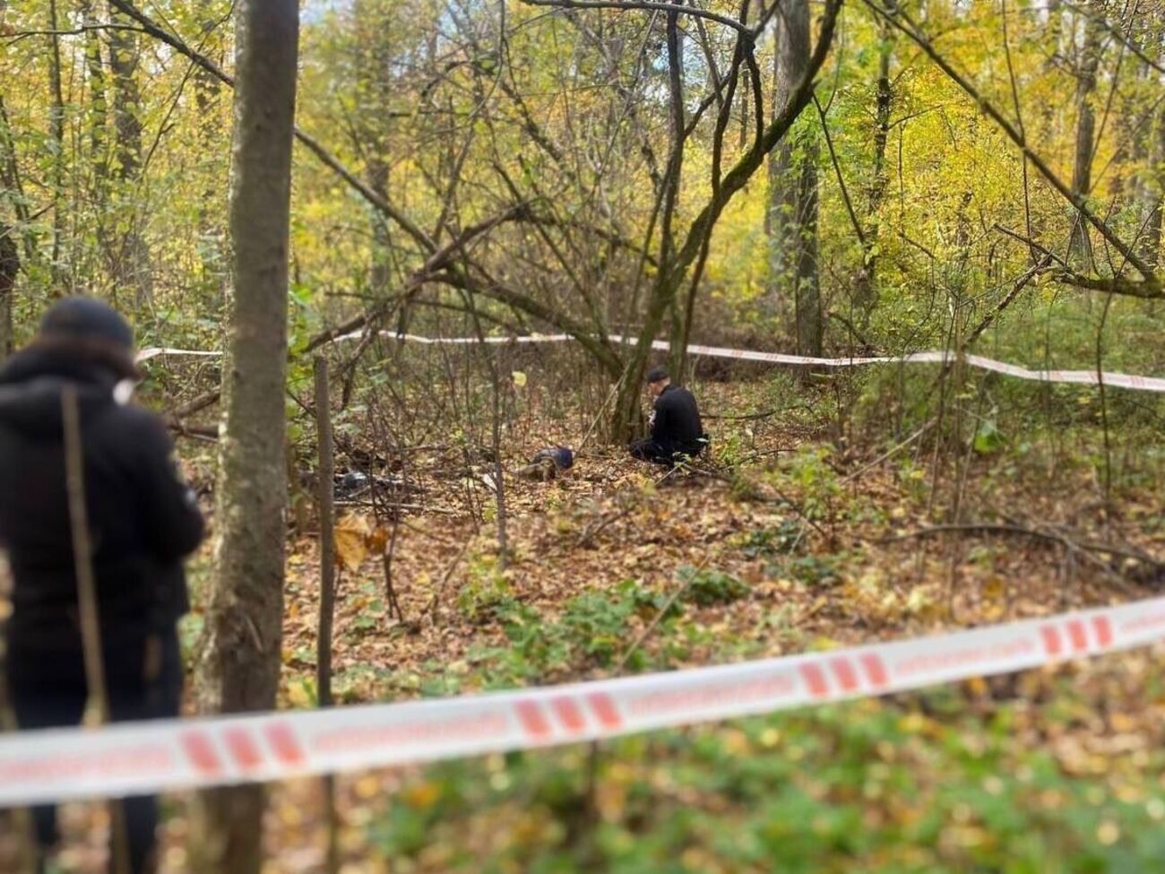 Тіло вбитого агресорами мирного жителя виявили поблизу селища Немішаєве