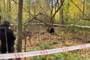 Тіло вбитого агресорами мирного жителя виявили поблизу селища Немішаєве